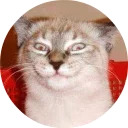 catsbySmol2