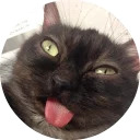 catsbySmol2