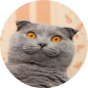 catsbySmol2