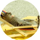catsbySmol2