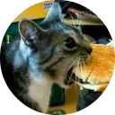 catsbySmol2