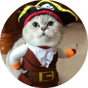 catsbySmol2