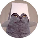 catsbySmol2