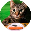 catsbySmol2