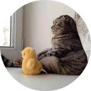 catsbySmol2