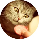 catsbySmol2