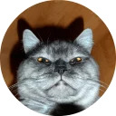 catsbySmol2