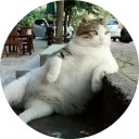 catsbySmol2