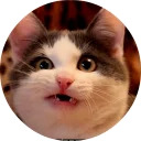 catsbySmol2