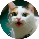 catsbySmol2