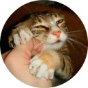 catsbySmol2