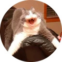 catsbySmol2