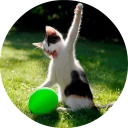 catsbySmol2
