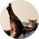 catsbySmol2