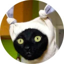 catsbySmol2