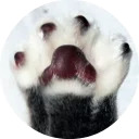 catsbySmol2