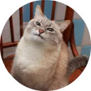 catsbySmol2
