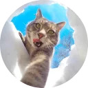 catsbySmol2