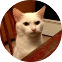 catsbySmol2