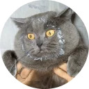 catsbySmol2