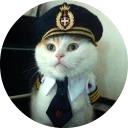 catsbySmol2