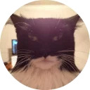 catsbySmol2
