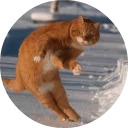 catsbySmol2