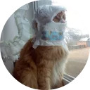 catsbySmol2