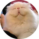 catsbySmol2