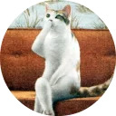 catsbySmol2