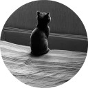 catsbySmol2