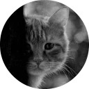 catsbySmol2