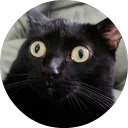 catsbySmol2