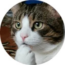 catsbySmol2