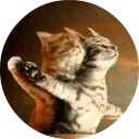 catsbySmol2
