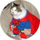 catsbySmol2