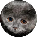 catsbySmol2