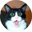 catsbySmol2