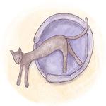 Cats in Circle @besensitive