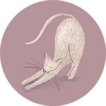 Cats in Circle @besensitive