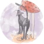 Cats in Circle @besensitive