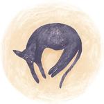 Cats in Circle @besensitive