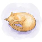 Cats in Circle @besensitive