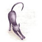 Cats in Circle @besensitive