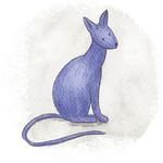 Cats in Circle @besensitive