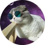 cats in space