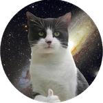 cats in space