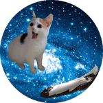 cats in space