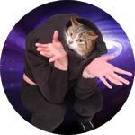 cats in space
