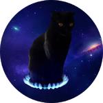 cats in space